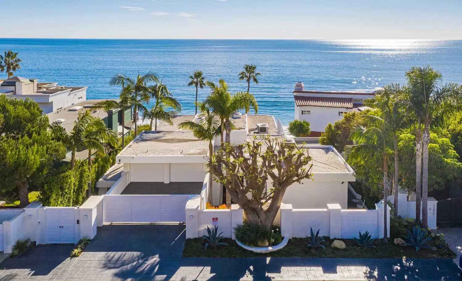 Carrara's Malibu house from the street, a white wall and coral tree in front, the ocean behind the roof