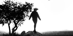 Silhouette of person standing on rock, wearing hat, with tree and landscape in background.