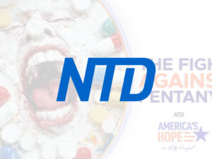 ntd television network