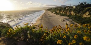 Elevated view of a sandy beach at sunset with yellow wildflowers in foreground, crashing waves, and coastal cliffs with houses along the shoreline in the background against mountain silhouettes