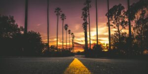 A scenic road lined with tall palm trees leading into the distance under a vibrant sunset sky. The perspective is low to the ground, with the yellow centerline guiding the eye toward the glowing horizon.