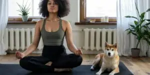 Are There Any Limitations or Restrictions for Pets in Malibu Rehabs? Are There Any Limitations or Restrictions for Pets in Malibu Rehabs?