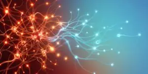 Abstract image representing how stress circuits drive relapse.
